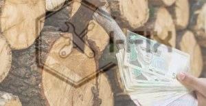 Економія дров до 30%: рахуємо реальні витрати на опалення приватного будинку