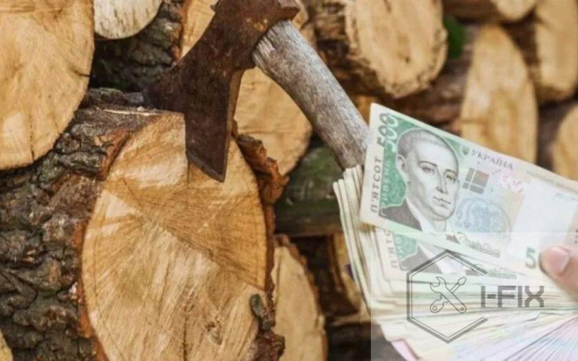Економія дров до 30%: рахуємо реальні витрати на опалення приватного будинку